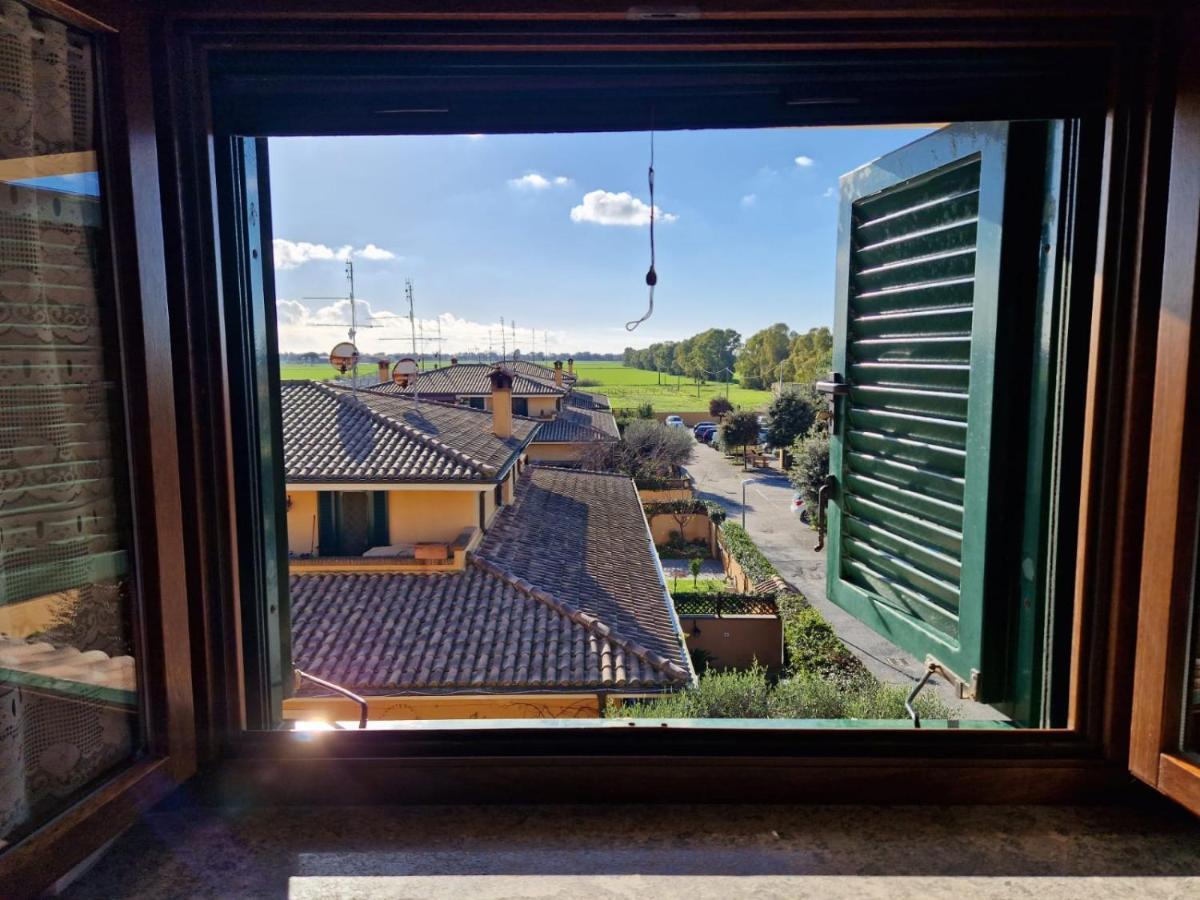 Casa Elsa Leilighet Palidoro Eksteriør bilde